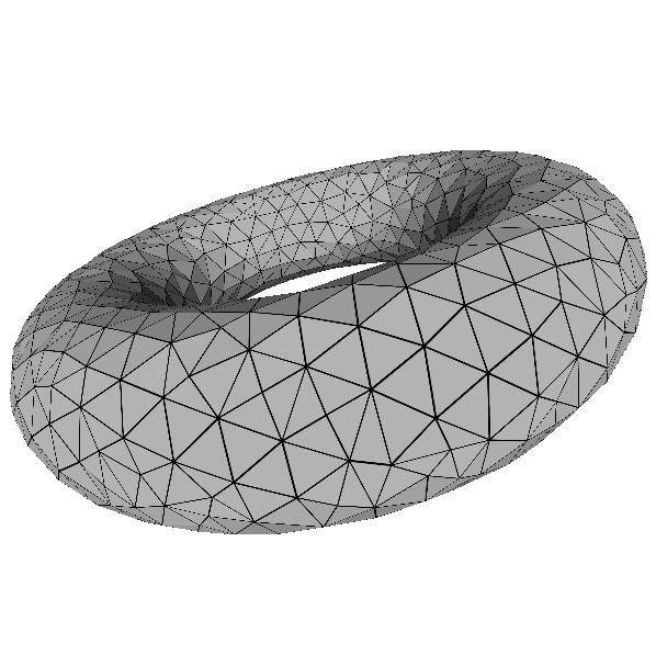torus